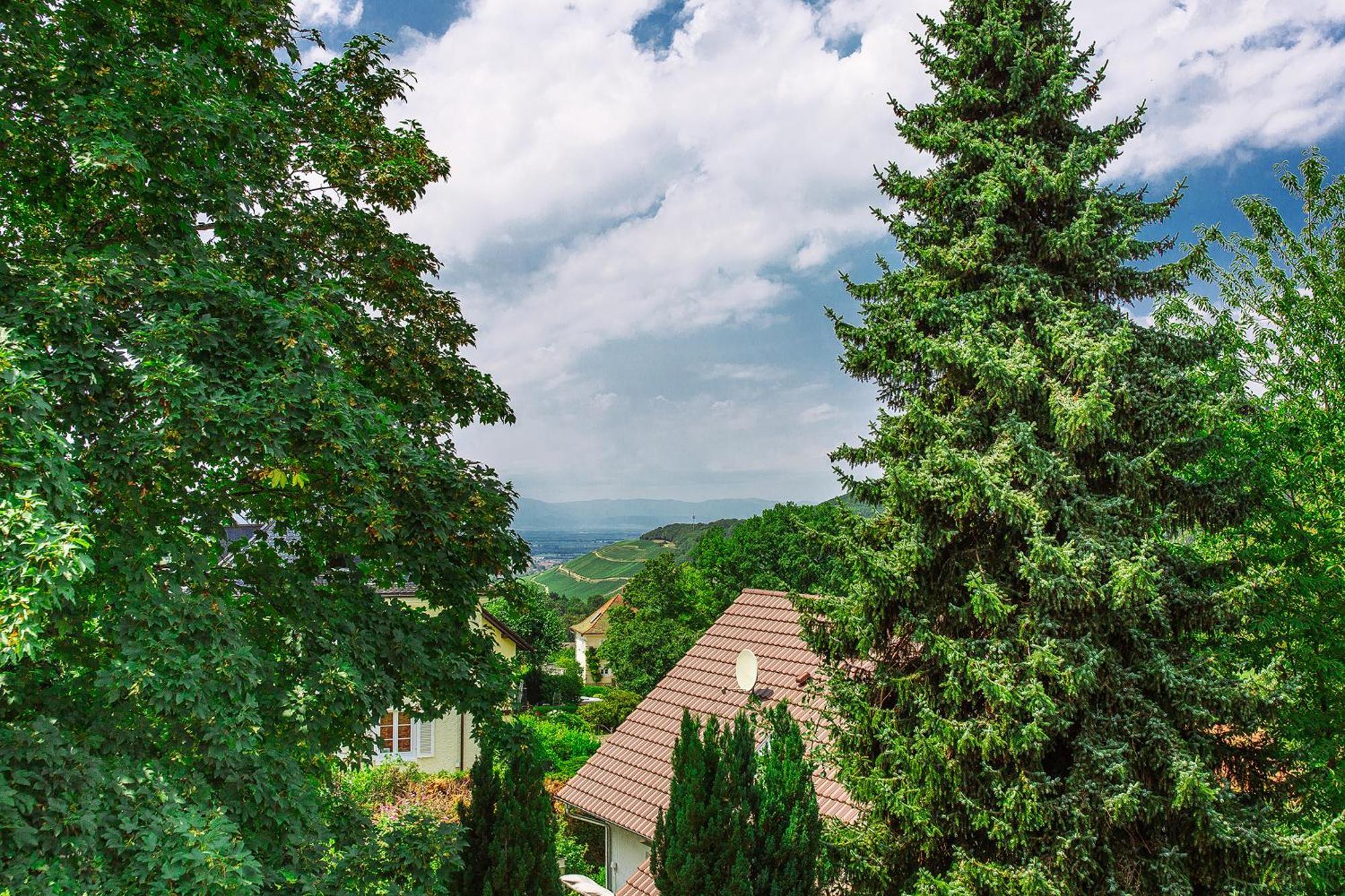 Apartment Am Tannenweg Badenweiler Eksteriør billede
